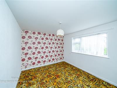 Picture 24